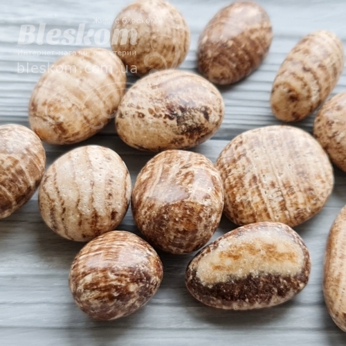 Арагоніт галтовка, натуральна 2-432