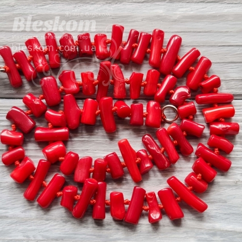 Корал фігурний, натуральний К5905