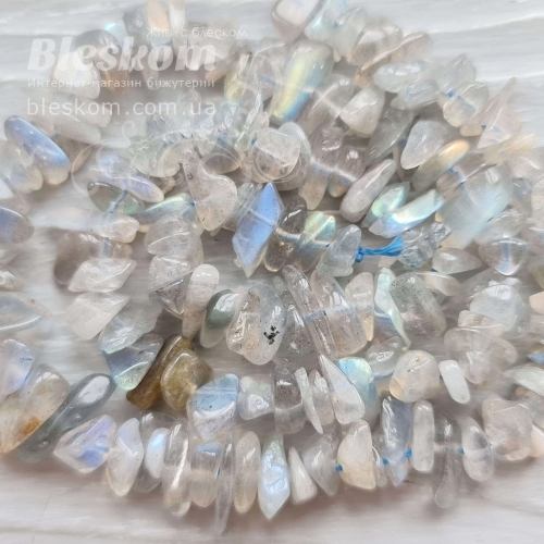 Лабрадор крихта, натуральна К6147