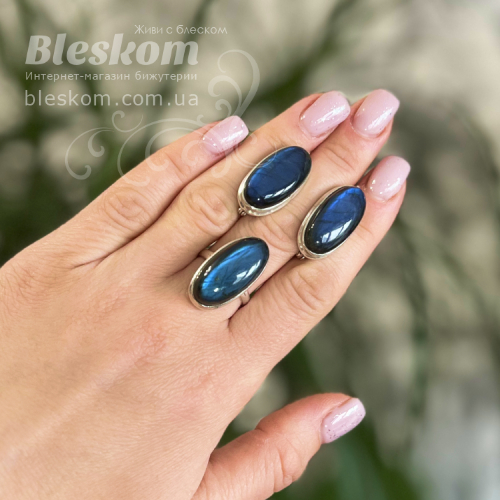 комплект з лабрадором с1074