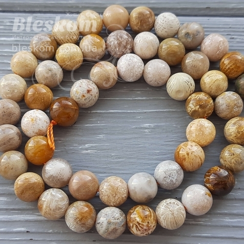 Корал викопний, круглий, натуральний К1855