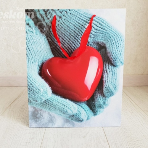 Подарункові пакети, щільні, великі 2103